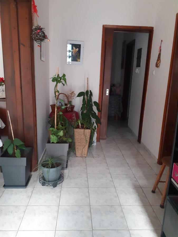 Appartement Vagelis 2 *