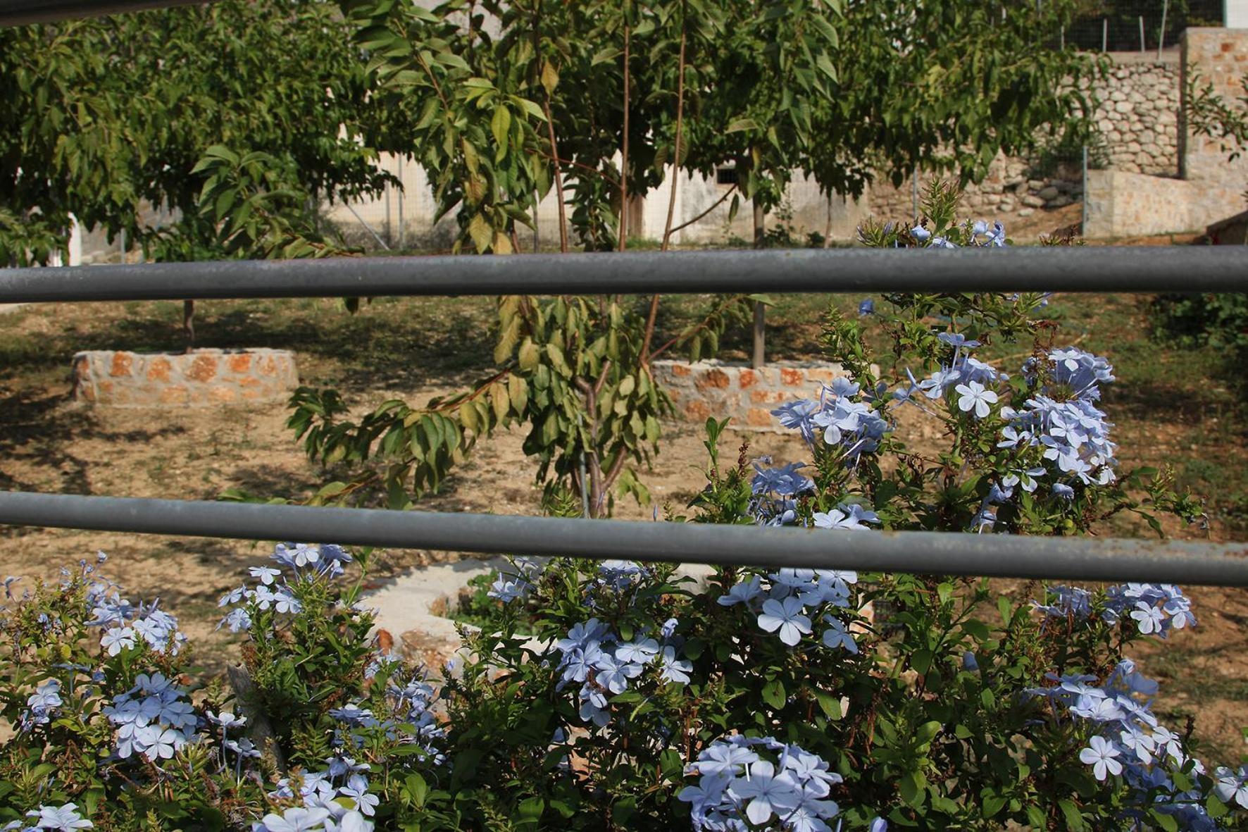Vagelis 2 Nemea
