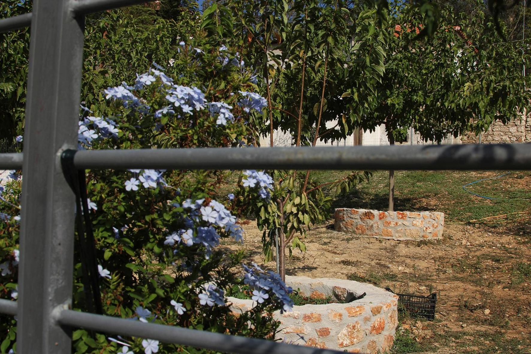 Vagelis 2 Appartement Nemea
